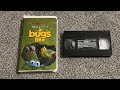 A Bug S Life 2000 Gold Classic Collection VHS Overview 2025 Edition