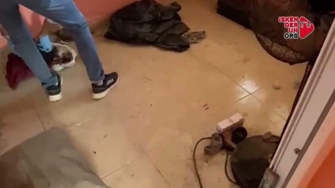 Hatay’da Jandarmadan 'Kurusıkı' Operasyonu...