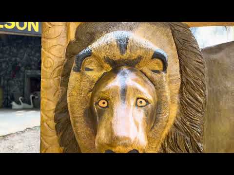 Wilson Artes Rodovia 466 Turvo PR