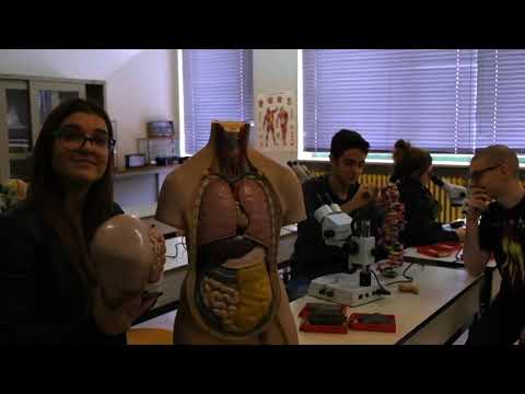 Presentazione del Majorana