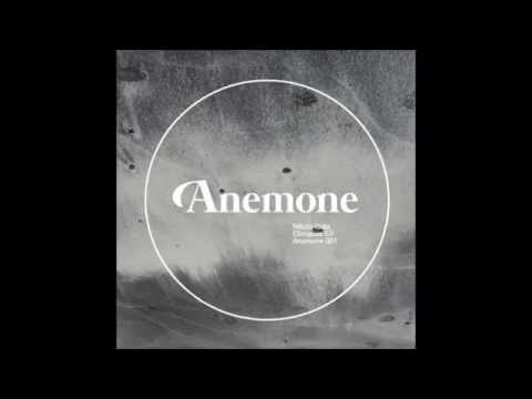 Nikola Gala - Octoechoes (Original Mix) [Anemone Recordings]