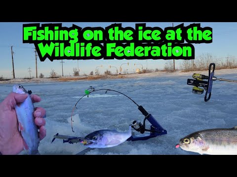 Ice fishing 