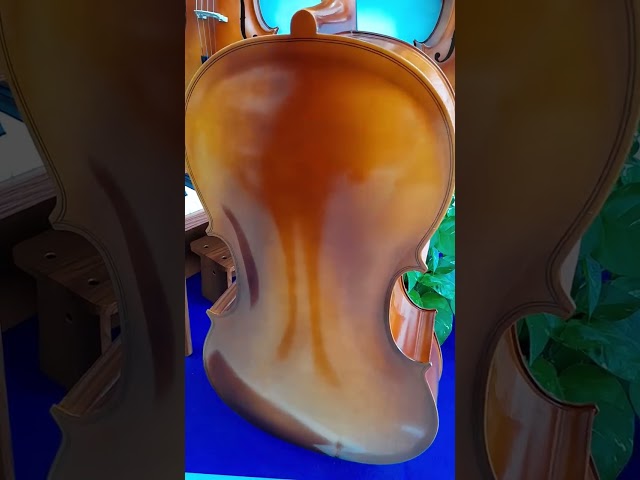 Vídeo relacionado con ELAYARD Báculo de Violonchelo 3/4 Artesanal Crin de Caballo para Práctica, Accesorio de Instrumento Musical de Madera para Músicos y Estudiantes