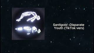 Santigold - Disparate Youth (TikTok version)