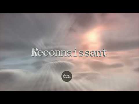 Reconnaissant - antsapraise - Instrumental Cover