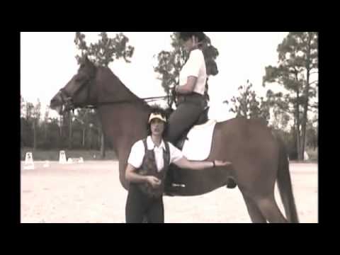 Trailer for book about top equestriennes