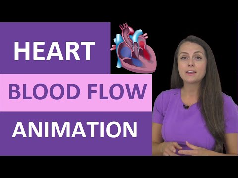 Arterial Ulcers vs Venous Ulcers Nursing Characteristics for PVD Peripheral Vascular Disease