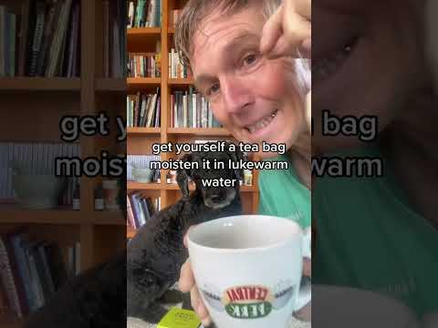 Awesome Eye infection Home Remedy for Pets