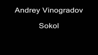 New Age -- track 5 of 8 -- Andrey Vinogradov -- Sokol