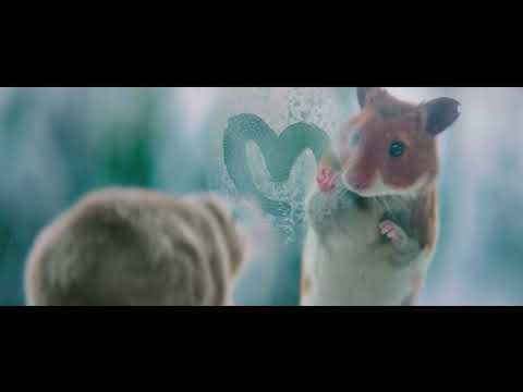Albert Heĳn – Kerst met hamsters