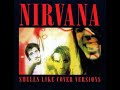 Nirvana Money Will Roll Right In Live June 1992