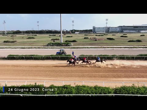 Galoppo corse del 24 Giugno 2023