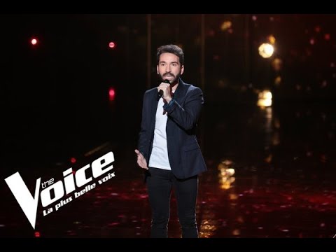 Aux Armes Citoyennes - Zazie