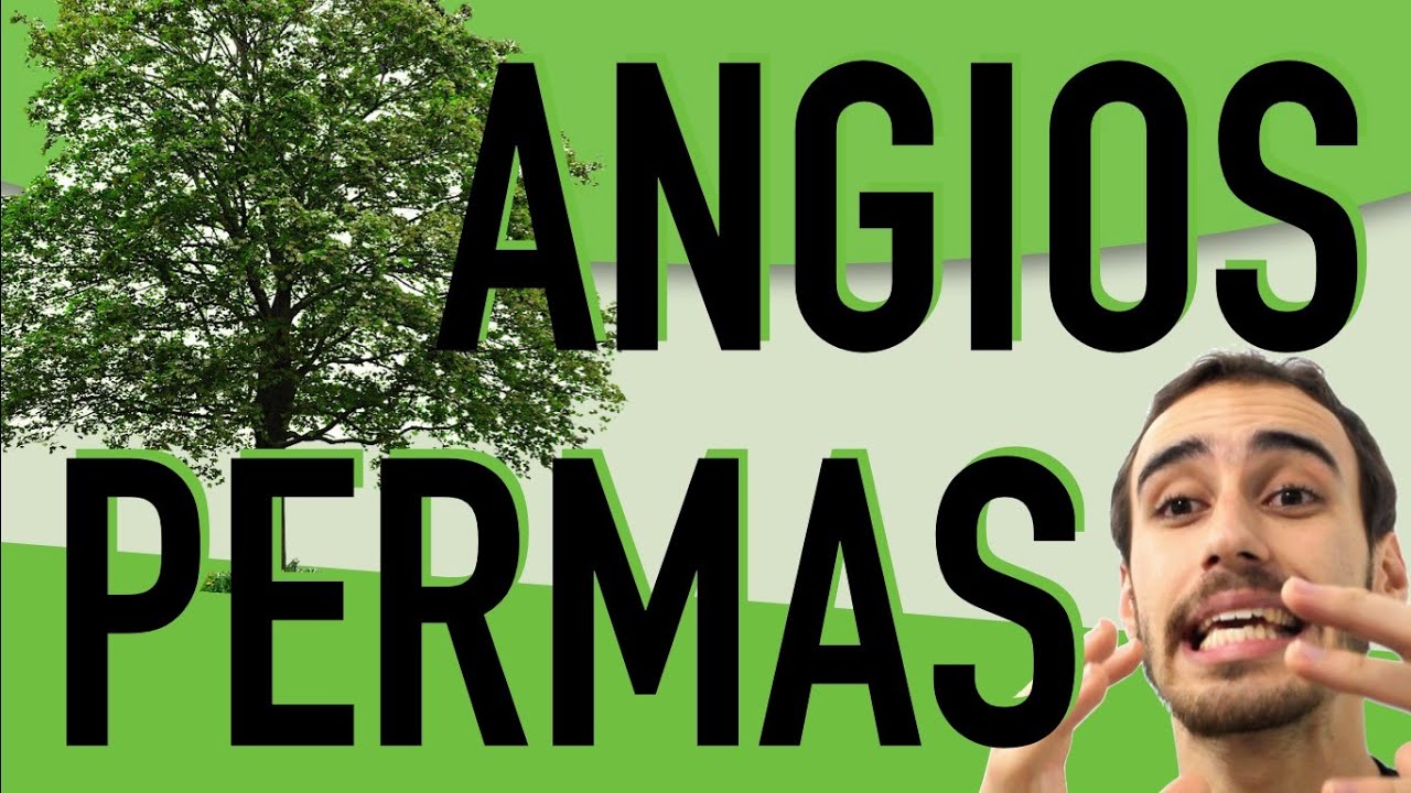 Botânica - Angiospermas