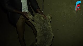 Rubavu: Kurya imbwa ni ibintu akoze imyaka 10 Rubavu: Kurya imbwa ni ibintu akoze imyaka 10