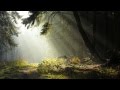 SEPUH APIKYAN-ЧИСТЫЕ ПРУДЫ 