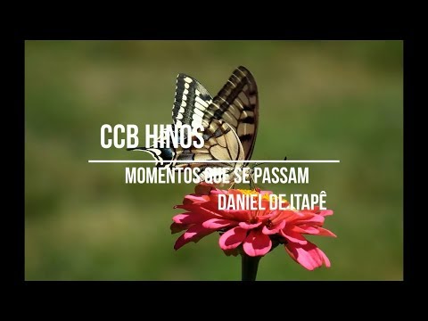 Momentos Que Se Passam video