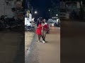The Wheels Of The Bus Momo Funny Fyp Reels ️