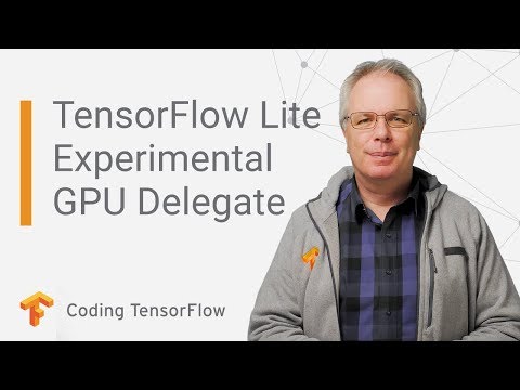 TensorFlow Lite, Experimental GPU Delegate (Coding TensorFlow)