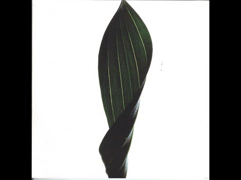 Renaissance: The Mix Collection Part 4  - mixed by Dave Seaman & Ian Ossia [Disc 2 of 3] | 1996