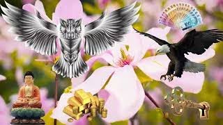 SOM PARA ATRAIR DINHEIRO E CLIENTES URGENTE E RAPIDAMENTE - E FORTUNA 