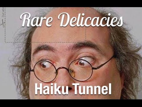 Haiku Tunnel - Stikla