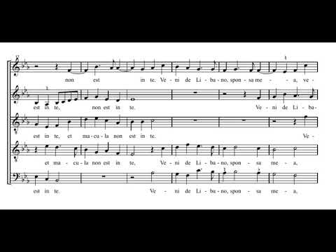 Palestrina: Tota pulchra es, amica mea - Sixteen
