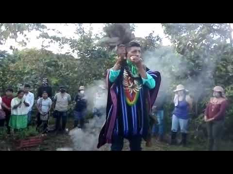 Armonización Campiselva Putumayo