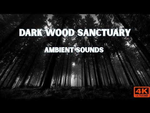 Lost In the Darkwood: Deep Forest Ambient Sounds for Sleep, Relaxation, & Focus