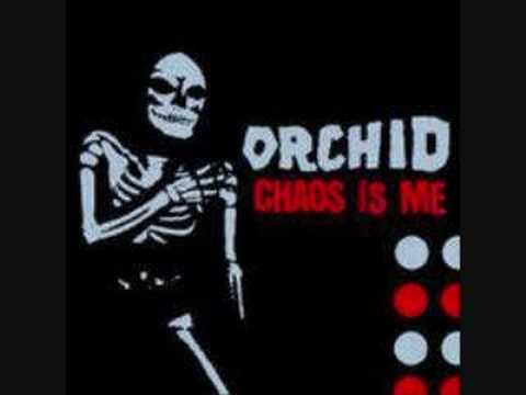 Orchid - Chaos is Me Favorites
