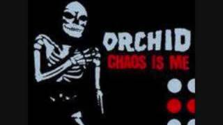 Orchid - Chaos is Me Favorites
