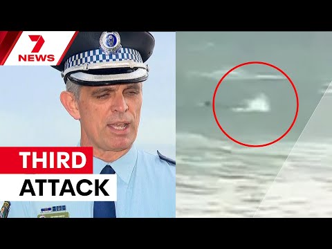 'We have not seen this before': Shark crisis shuts down Sydney's Northern Beaches | 7NEWS