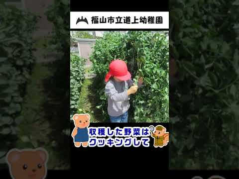 福山市立道上幼稚園