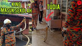 Download lagu Ular Tedung Selar Masuk Sekolah | Risau Pelajar Kena Patuk Je mp3