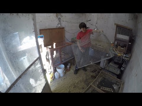 Winter Cleanup on the Farm - Time Lapse Compilation