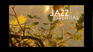 Larry Porter Trio - October Blues // JazzONLYJazz