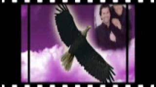 MODERN TALKING BLACK BIRD