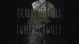 &#39;Cicadas and Gulls&#39; :: Whippoorwill (Feist cover)