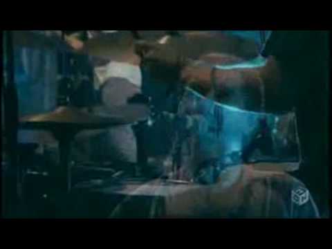 Grizzly Bear - Fine For Now @ Summer Sonic 2009