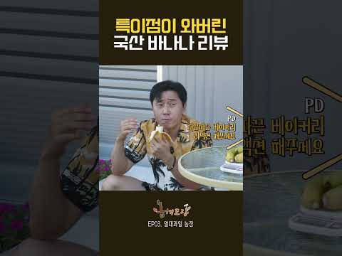 특이점이 와버린 100% 국산 바나나 리뷰