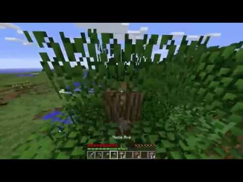 Aureus Pupillam S7E1 - The Worst Server