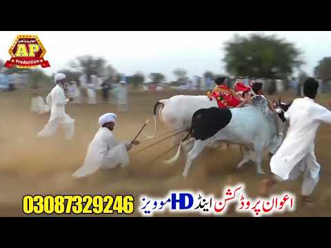 jalsa Karah Dhulli 2022