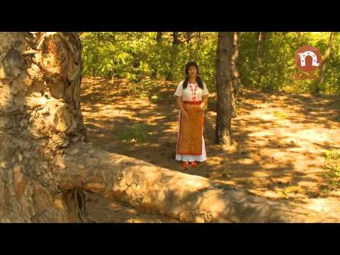 Doina Arsene   Jos, în satul meu din vale