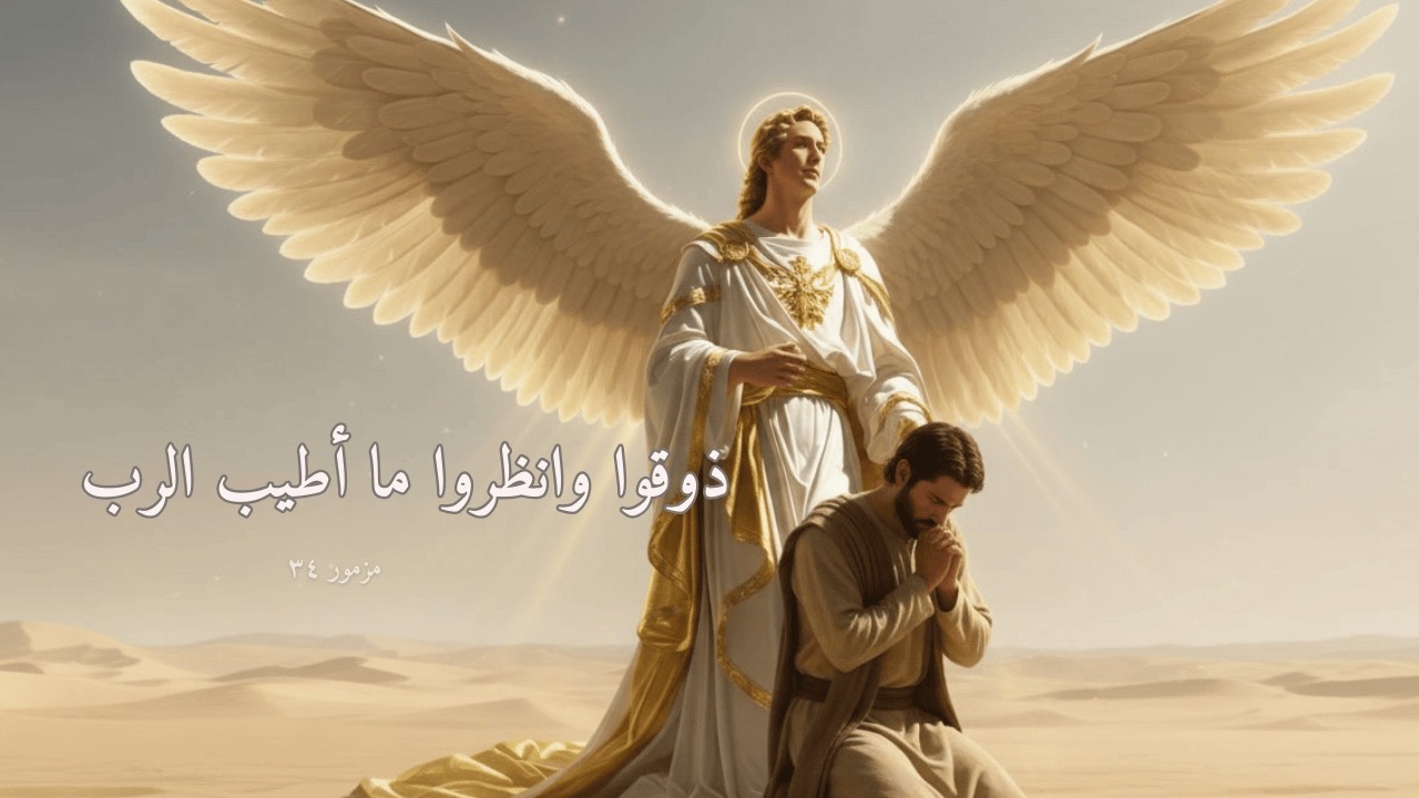 فيديو تفسير الكتاب المقدس | الكتاب المقدس رفيقي