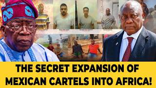 SHOCKING: MEXICAN DRUG LORDS ARE EXPANDING INTO AFRICA!