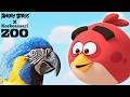 Red Meets The Blue Throated Macaw Angry Birds Feathery Friends At Korkeasaari Zoo