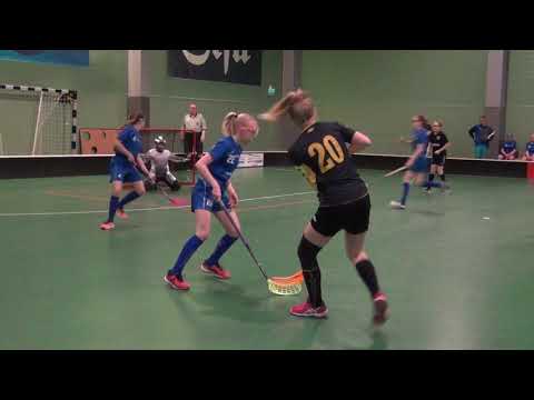 Nibacos D-tytöt TFT-turnaus Tampere 2019