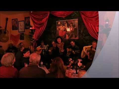 Telma Pereira - Fado "Teus olhos são dois pecados"