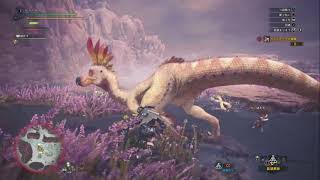 【MHW】関西人ハンター♀、調査に行く！【番外編③】