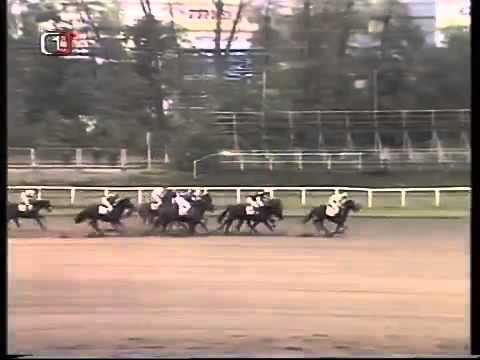 107. Velká pardubická steeplechase - 1997